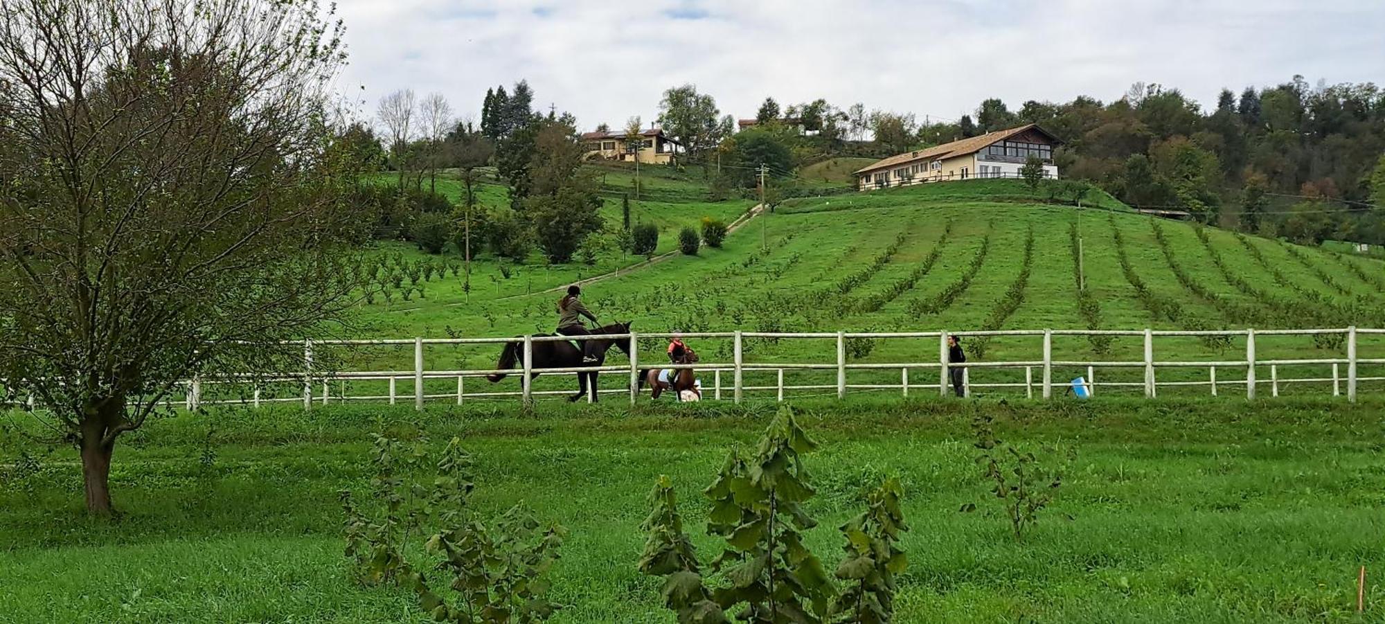 Cascina Fazioli Villa Alfiano Natta ภายนอก รูปภาพ